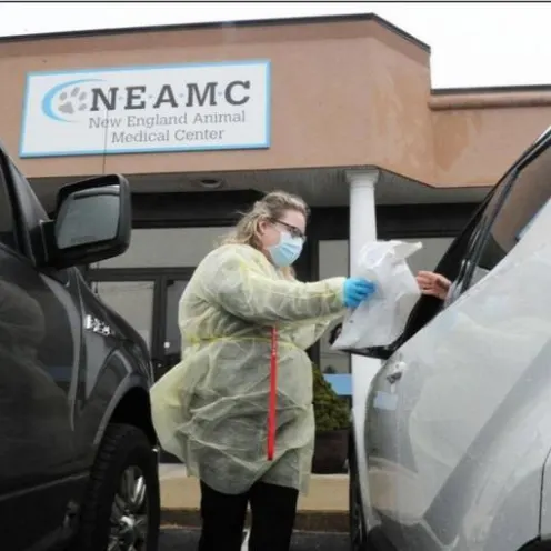 Drivers in front of New England Animal Medical Center picking up pet medication during COVID